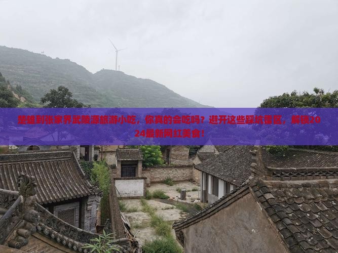 楚雄到张家界武陵源旅游小吃