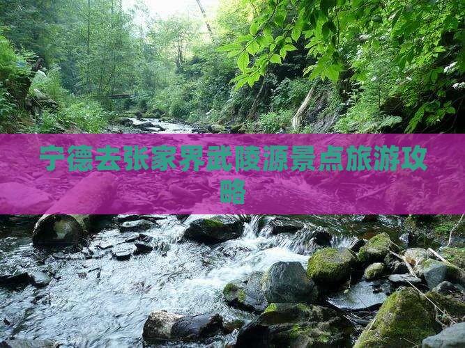 宁德去张家界武陵源景点