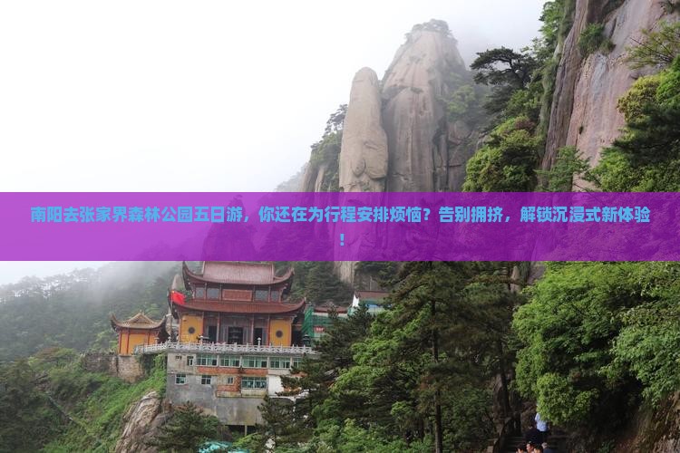 南阳去张家界森林公园五日游