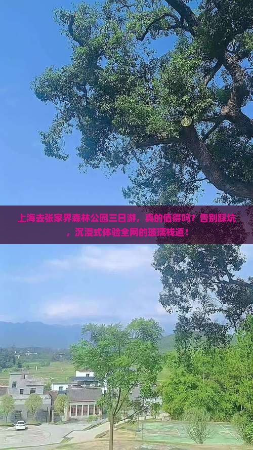 上海去张家界森林公园三日游