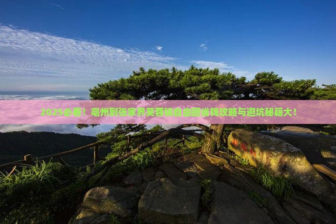 亳州到张家界芙蓉镇自由团
