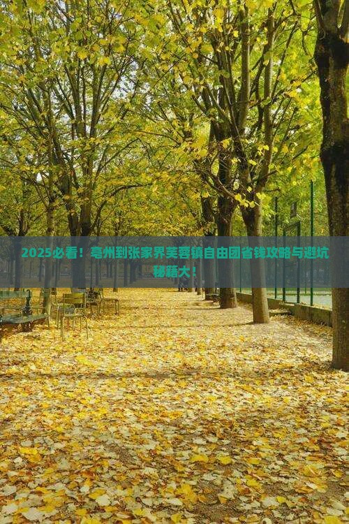 亳州到张家界芙蓉镇自由团