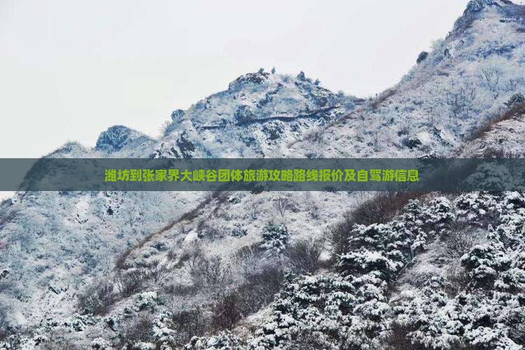 潍坊到张家界大峡谷团体旅游 潍坊到张家界大峡谷团体旅游