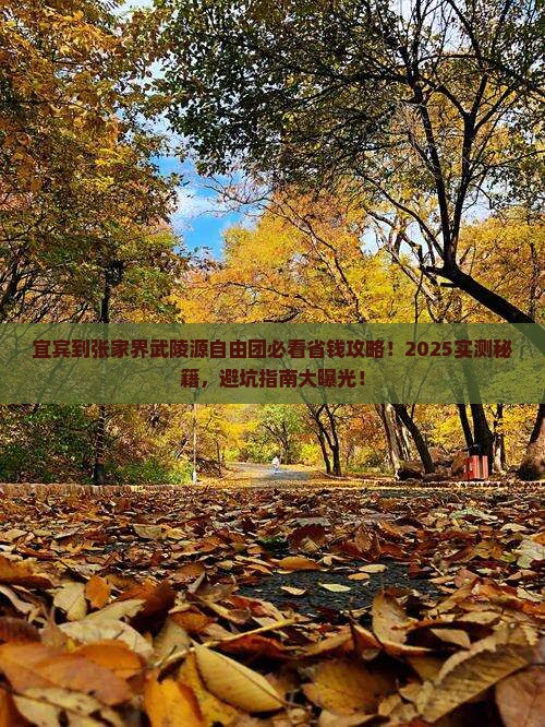 宜宾到张家界武陵源自由团