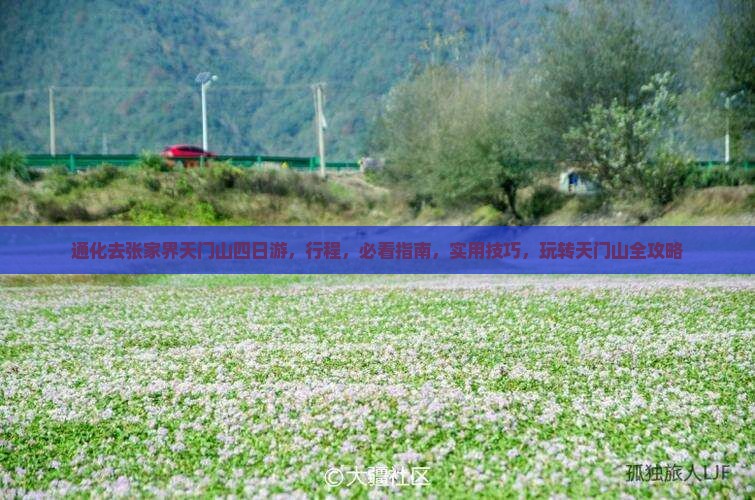 通化去张家界天门山四日游