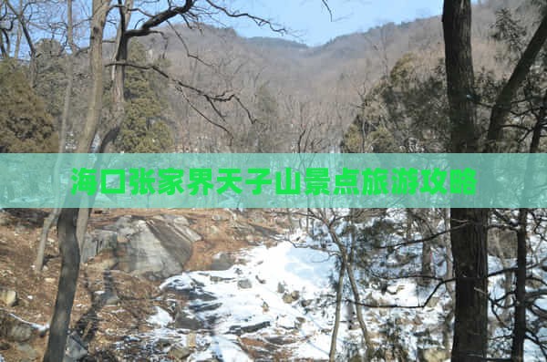海口去张家界天子山一日