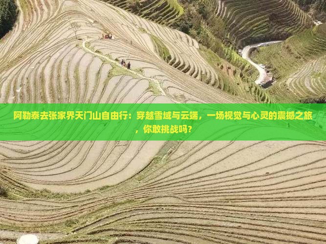 阿勒泰去张家界天门山自由行