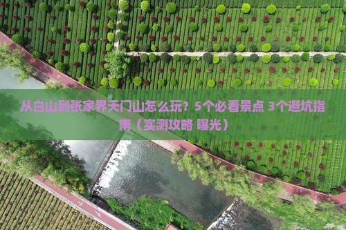 白山去张家界天门山景点