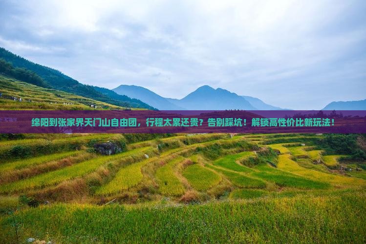绵阳到张家界天门山自由团