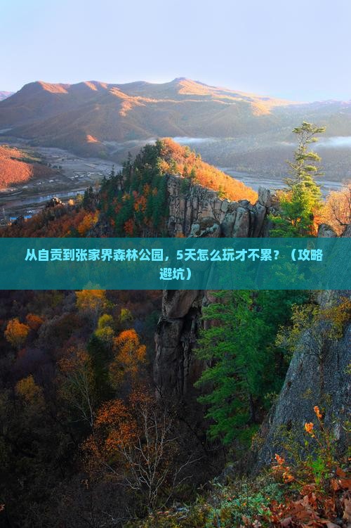 自贡到张家界森林公园旅游