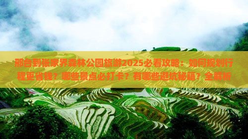 邢台到张家界森林公园旅游