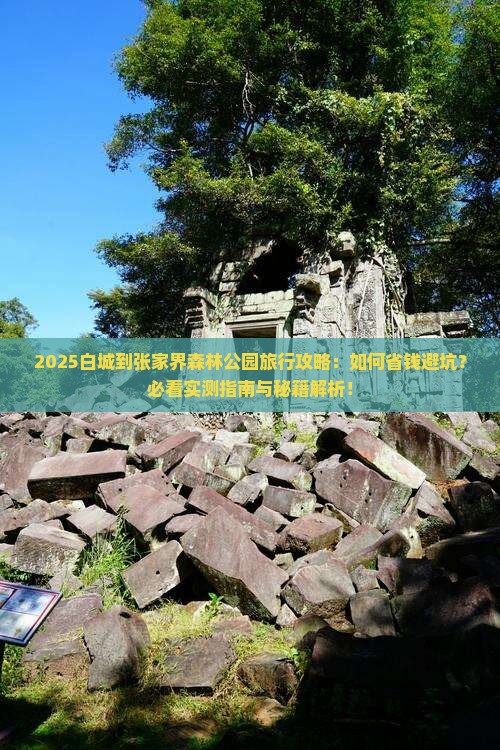 白城到张家界森林公园旅行社