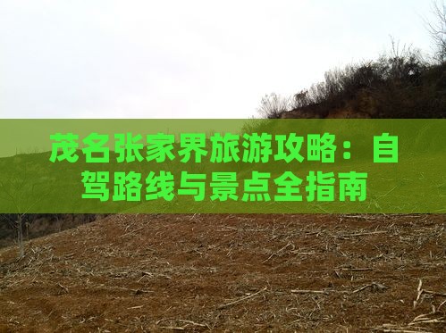 茂名到张家界森林公园旅游
