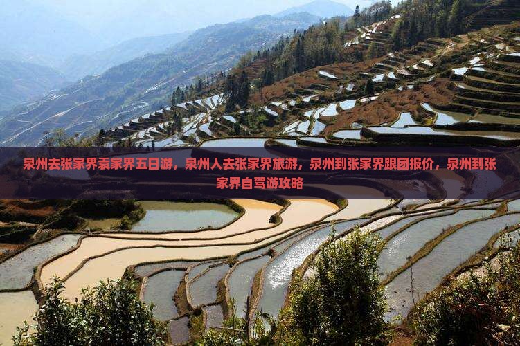 泉州去张家界袁家界五日游
