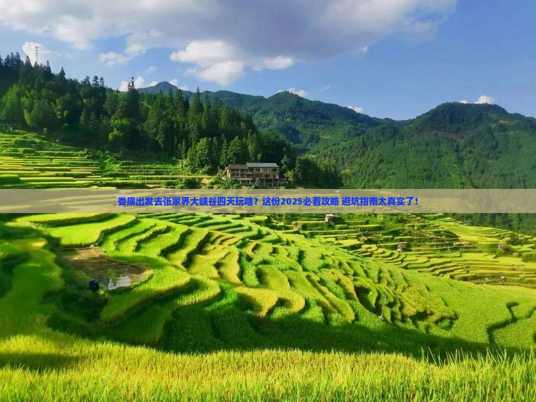 娄底去张家界大峡谷四日游