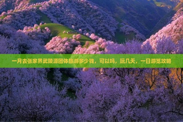 一月去张家界武陵源团体旅游