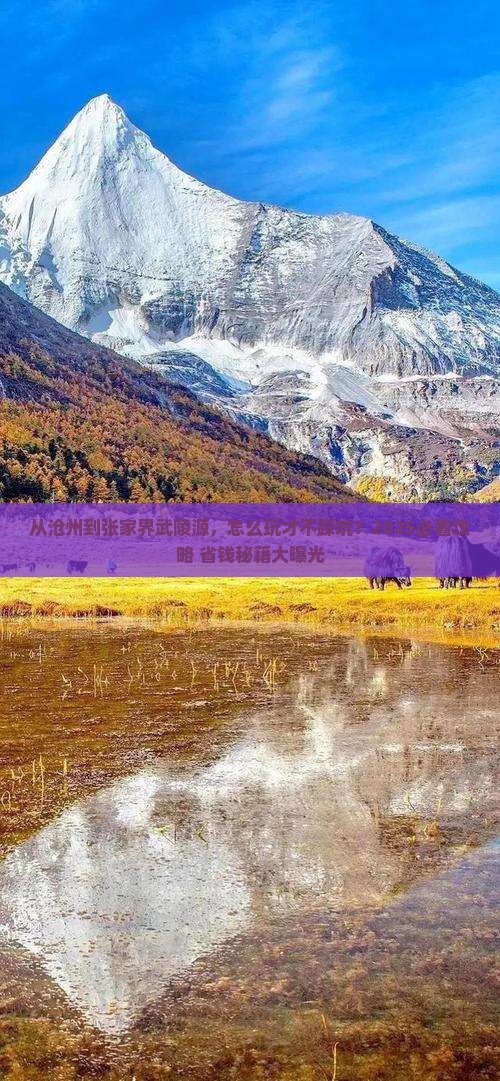 沧州到张家界武陵源攻略