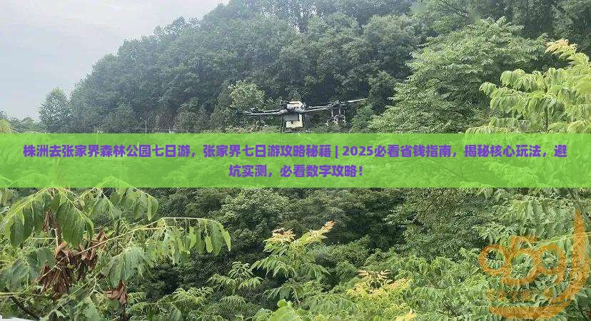 株洲去张家界森林公园七日游