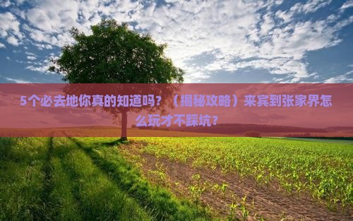 来宾到张家界必去地