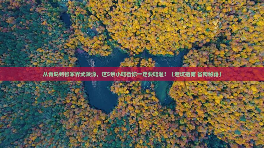 青岛到张家界武陵源旅游小吃