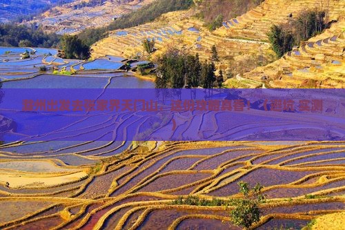 滁州去张家界天门山旅行社