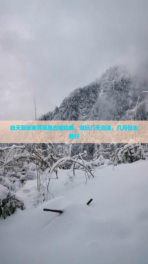 秋天到张家界凤凰古城攻略