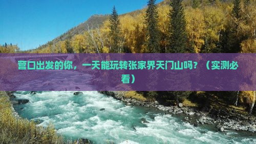 营口到张家界天门山一日