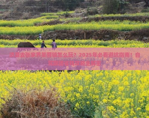 济源去张家界芙蓉镇景点