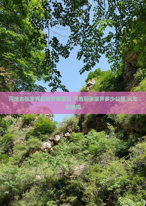 河池去张家界袁家界哪里玩