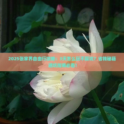 十月到张家界自由行