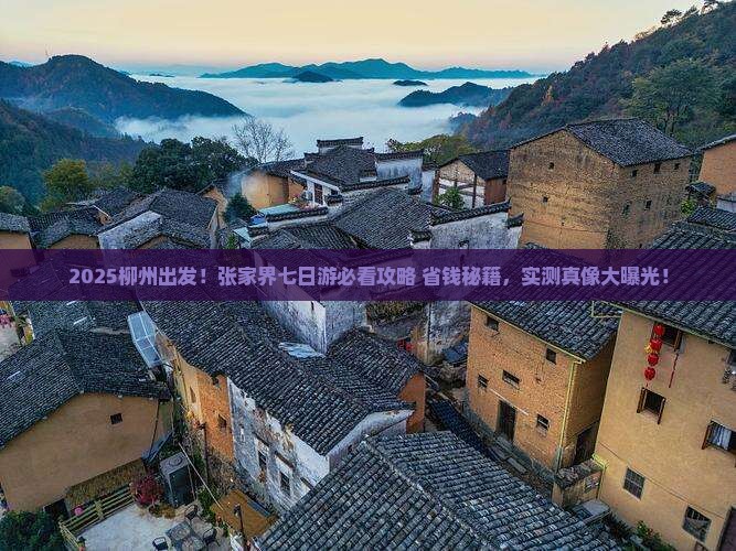 柳州去张家界七日游