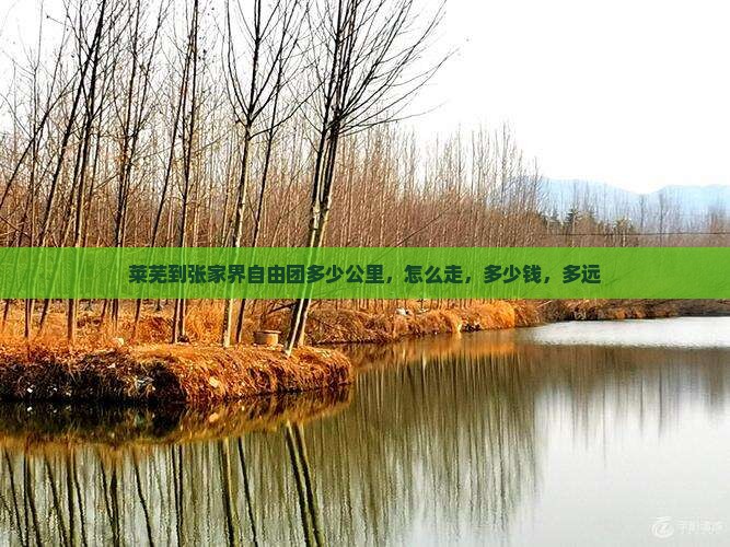 莱芜到张家界自由团