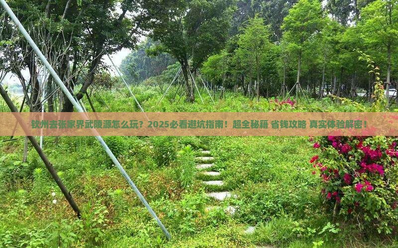 钦州去张家界武陵源必去地