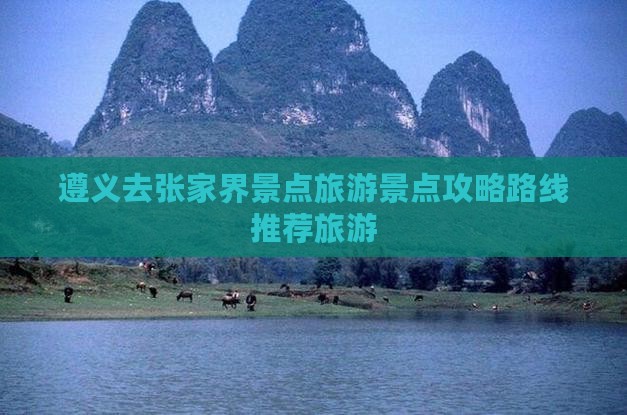 遵义去张家界哪里玩