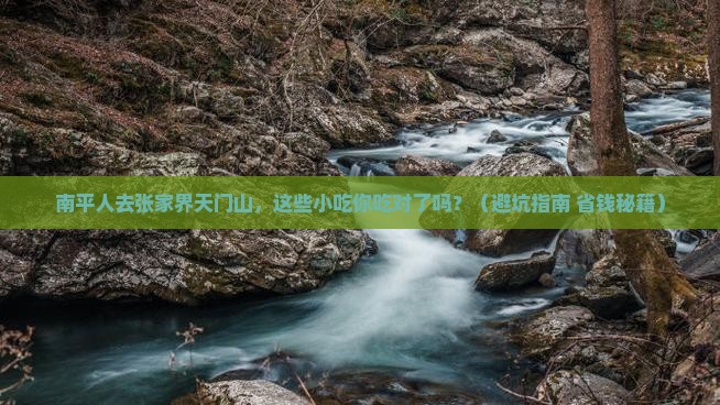 南平去张家界天门山旅游小吃