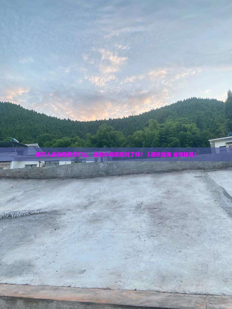 南平去张家界天门山旅游小吃