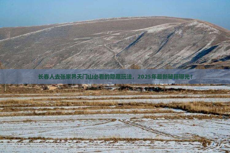 长春去张家界天门山必去地