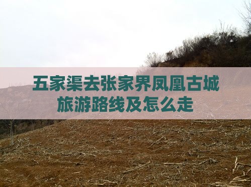 五家渠去张家界凤凰古城旅游