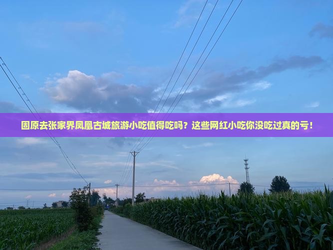 固原去张家界凤凰古城旅游小吃