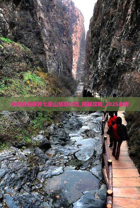 永州去张家界七星山旅游小吃