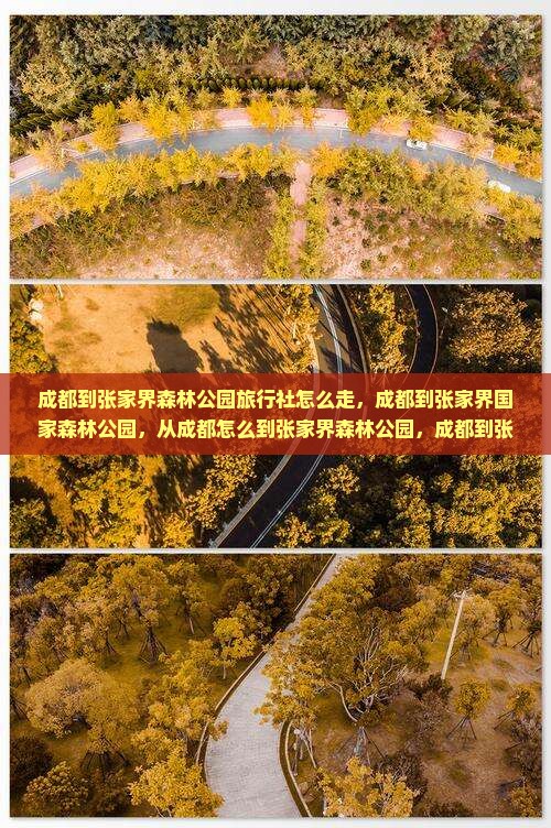成都到张家界森林公园旅行社
