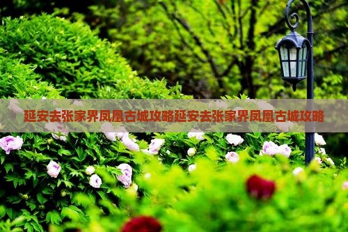 延安去张家界凤凰古城攻略