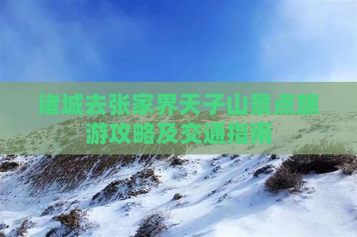 诸城去张家界天子山景点