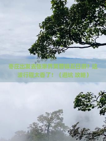 枣庄去张家界芙蓉镇五日游