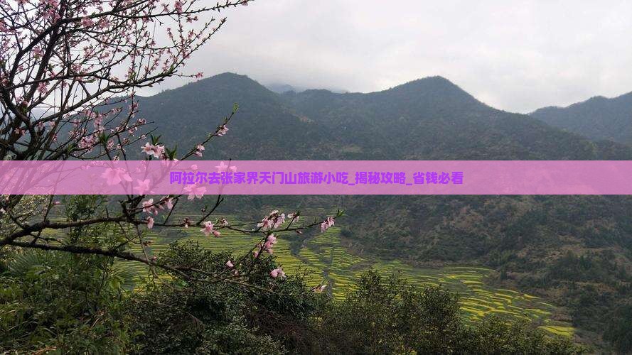 阿拉尔去张家界天门山旅游小吃
