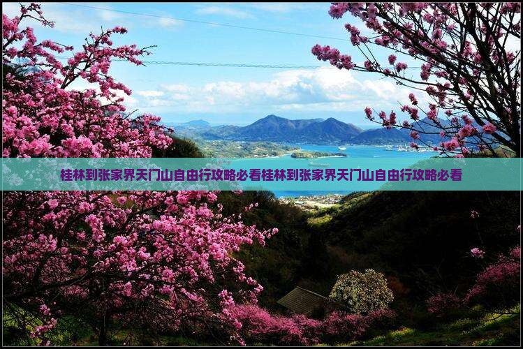 桂林到张家界天门山自由行