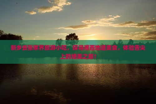 新乡去张家界旅游小吃