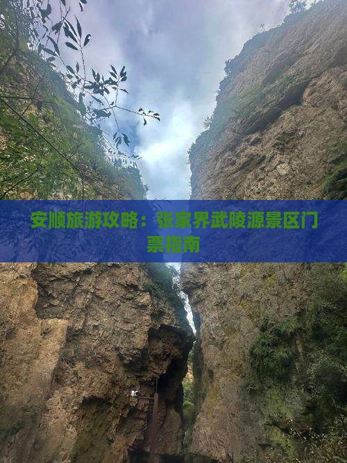 安顺去张家界武陵源门票