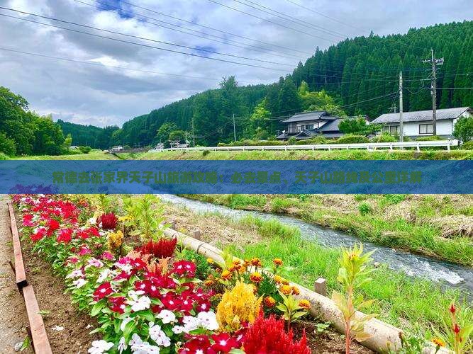 常德去张家界天子山必去地
