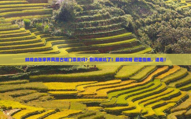 蚌埠去张家界凤凰古城门票